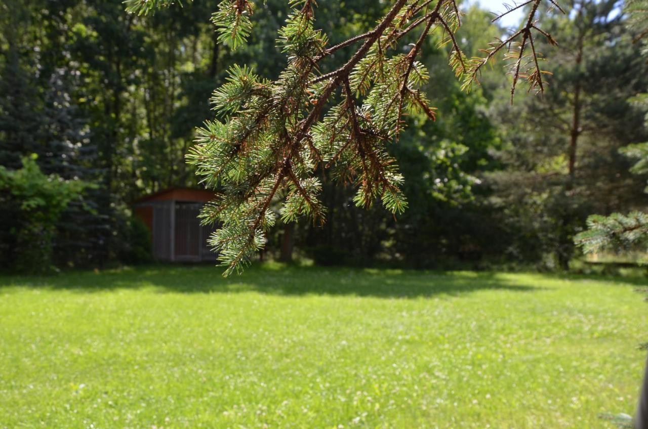 Agroturystyka Czekaj Przy Suntago Lublinow Екстериор снимка