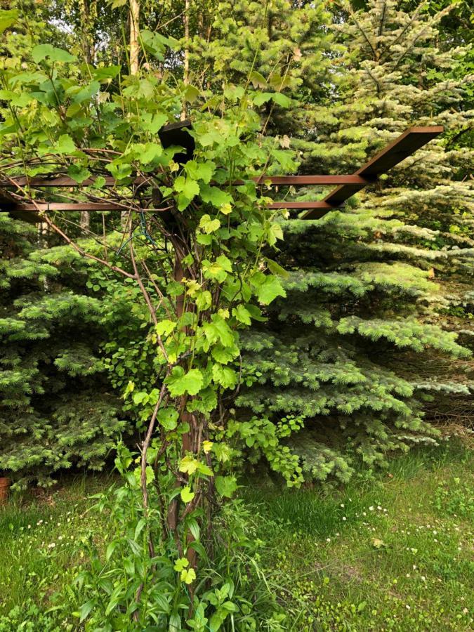 Agroturystyka Czekaj Przy Suntago Lublinow Екстериор снимка